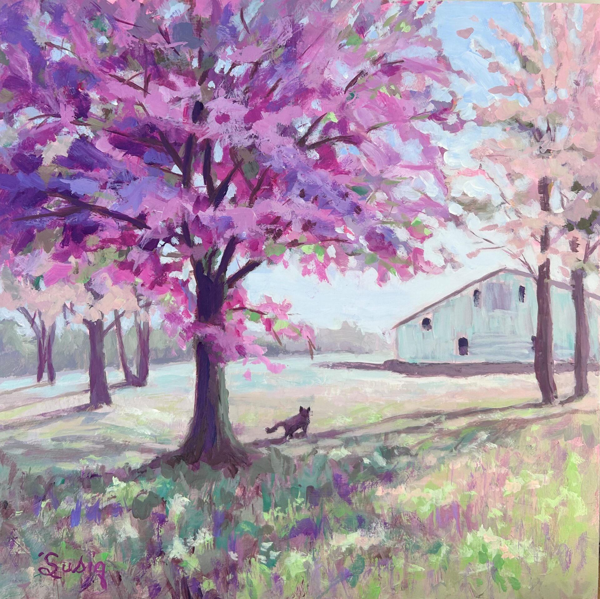 Beneath The Blossoms